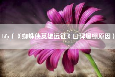 bfp（《蜘蛛侠英雄远征》口碑爆棚原因）