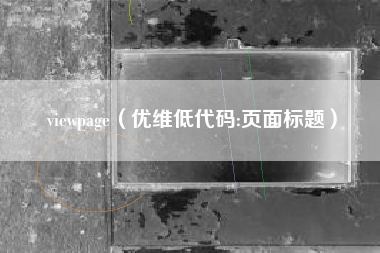 viewpage（优维低代码:页面标题）