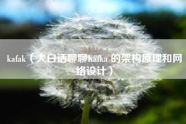kafak（大白话聊聊Kafka 的架构原理和网络设计）