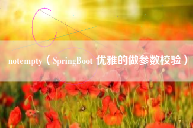 notempty（SpringBoot 优雅的做参数校验）