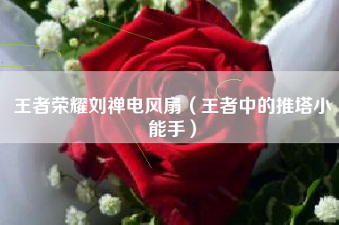 王者荣耀刘禅电风扇（王者中的推塔小能手）