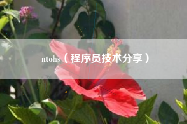 ntohs（程序员技术分享）