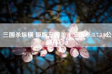三国杀纵横 原版三国杀（三国杀:3.7.3.8公测开启）