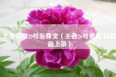王者荣耀29号至尊宝（王者26号更新:白晶晶上架）