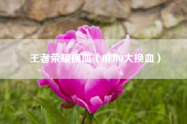 王者荣耀换血（HERO大换血）