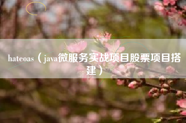 hateoas（java微服务实战项目股票项目搭建）
