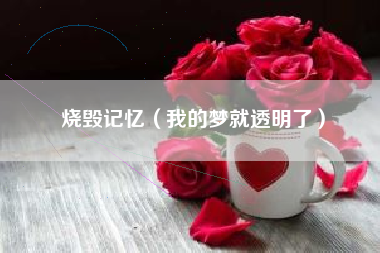 烧毁记忆（我的梦就透明了）