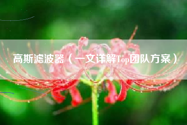 高斯滤波器（一文详解Top团队方案）