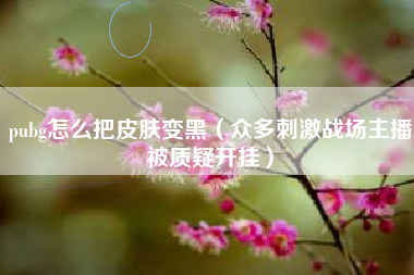 pubg怎么把皮肤变黑（众多刺激战场主播被质疑开挂）