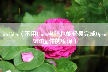 asciidoc（不用Linux电脑也能轻易完成OpenWRT固件的编译）