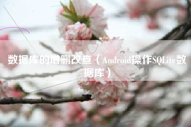 数据库的增删改查（Android操作SQLite数据库）