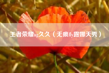王者荣耀ag久久（无痕fly露娜天秀）