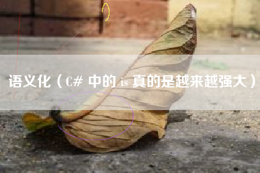 语义化（C# 中的 is 真的是越来越强大）