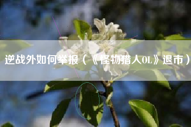逆战外如何举报（《怪物猎人OL》退市）