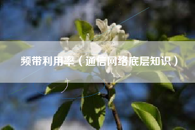 频带利用率（通信网络底层知识）