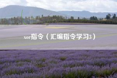 xor指令（汇编指令学习3）