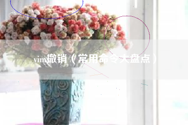 vim撤销（常用命令大盘点）