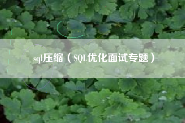 sql压缩（SQL优化面试专题）