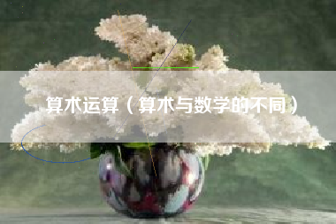 算术运算（算术与数学的不同）