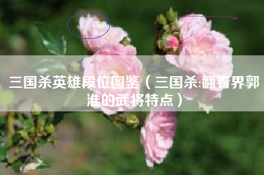 三国杀英雄段位图鉴（三国杀:翻看界郭淮的武将特点）