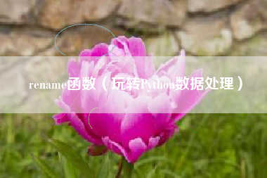 rename函数（玩转Python数据处理）