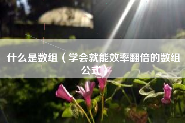 什么是数组（学会就能效率翻倍的数组公式）