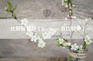 比较运算符（JavaScript-在比较中）