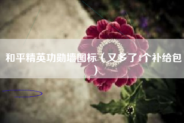 和平精英功勋墙图标（又多了4个补给包）