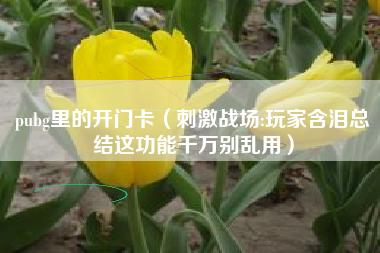 pubg里的开门卡（刺激战场:玩家含泪总结这功能千万别乱用）