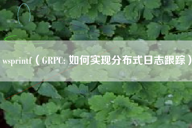 wsprintf（GRPC: 如何实现分布式日志跟踪）