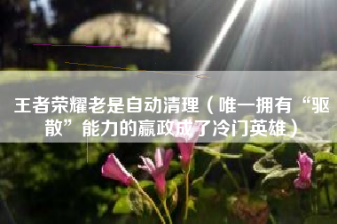 王者荣耀老是自动清理（唯一拥有“驱散”能力的嬴政成了冷门英雄）