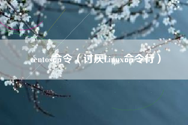 centos命令（讨厌Linux命令行）