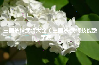 三国杀神武将大全（三国杀:武将技能数字减一）