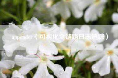 appender（可视化全链路日志追踪）