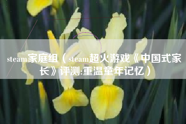 steam家庭组（steam超火游戏《中国式家长》评测:重温童年记忆）