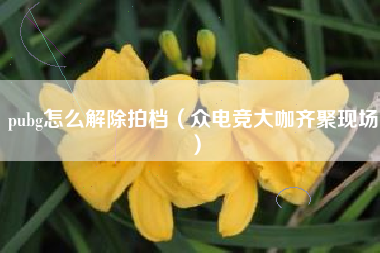pubg怎么解除拍档（众电竞大咖齐聚现场）