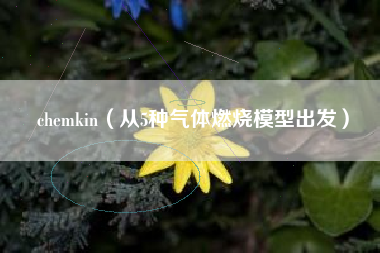 chemkin（从5种气体燃烧模型出发）