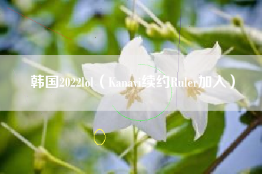 韩国2022lol（Kanavi续约Ruler加入）