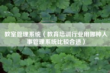 教室管理系统（教育培训行业用哪种人事管理系统比较合适）