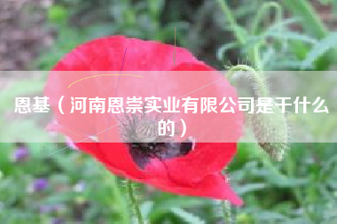 恩基（河南恩崇实业有限公司是干什么的）