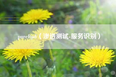 pureftpd（渗透测试-服务识别）