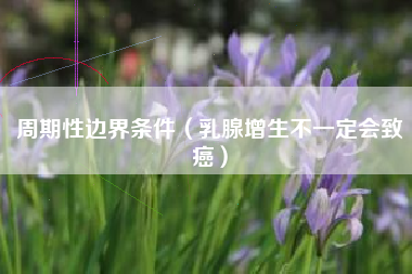 周期性边界条件（乳腺增生不一定会致癌）