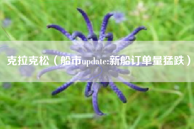 克拉克松（船市update:新船订单量猛跌）