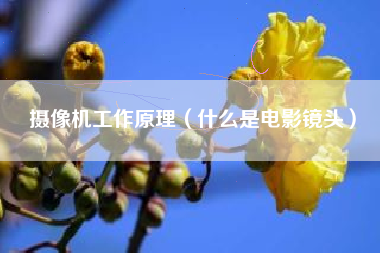 摄像机工作原理（什么是电影镜头）
