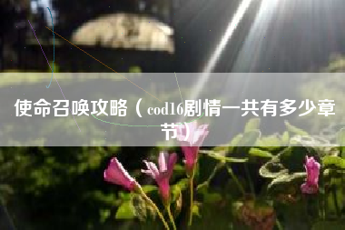 使命召唤攻略（cod16剧情一共有多少章节）