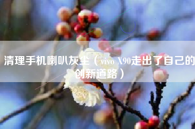 清理手机喇叭灰尘（vivo X90走出了自己的创新道路）