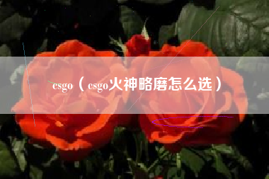 csgo（csgo火神略磨怎么选）
