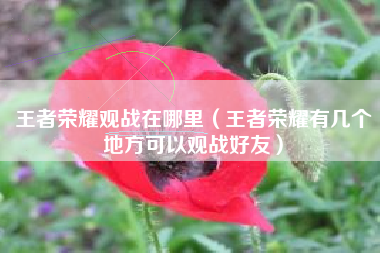 王者荣耀观战在哪里（王者荣耀有几个地方可以观战好友）