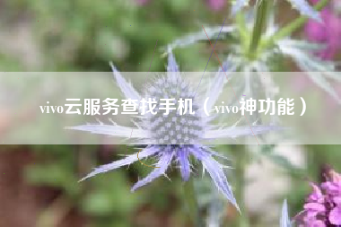 vivo云服务查找手机（vivo神功能）