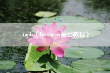 tuple（Dictionary基础教程）
